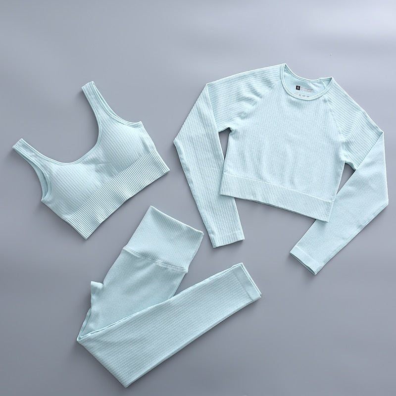 Sportswear Seamless Yoga Sets