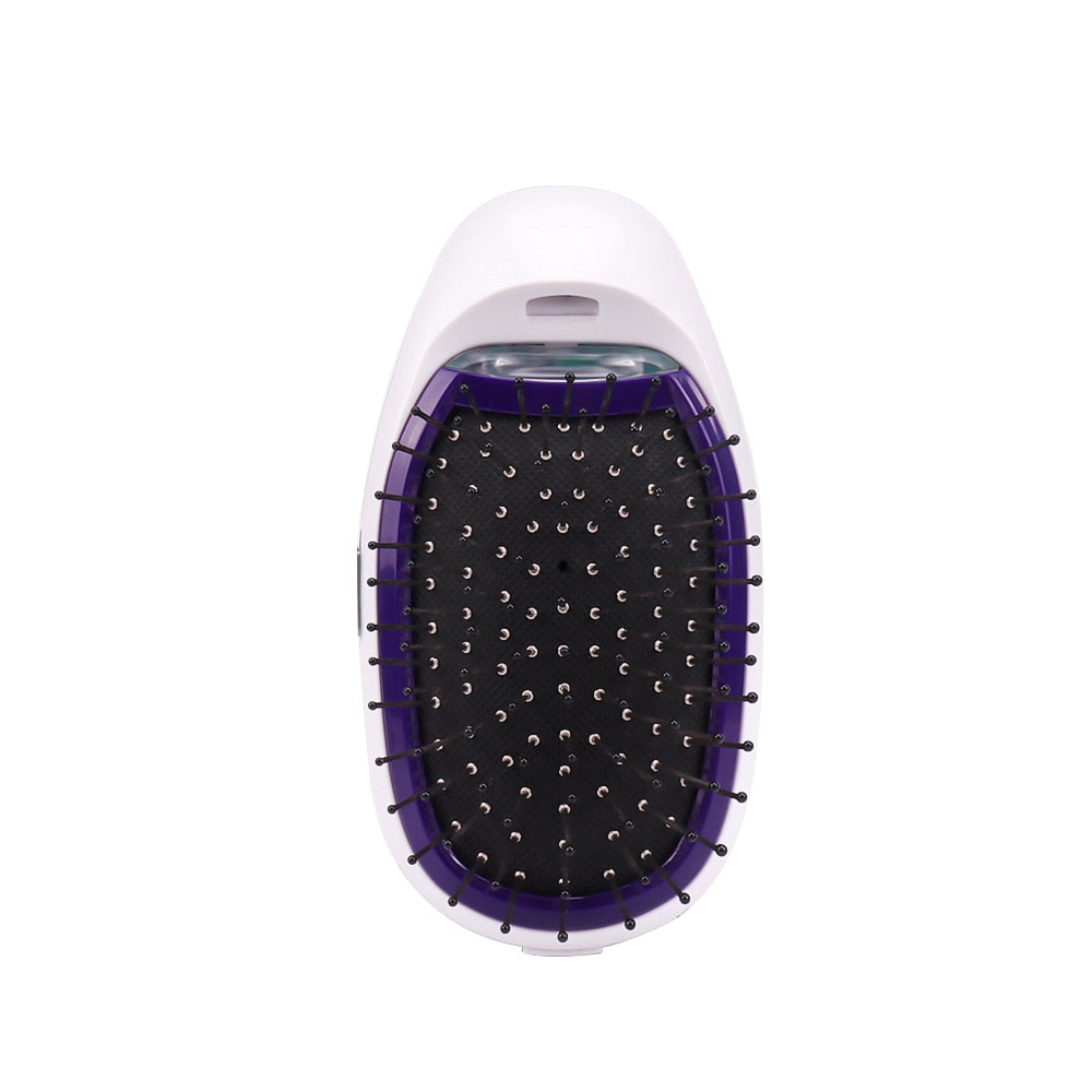 Ionic Electric Negative Ions Magic Hair Brush