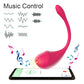 Wireless Bluetooth Vibrator