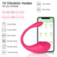 Wireless Bluetooth Vibrator