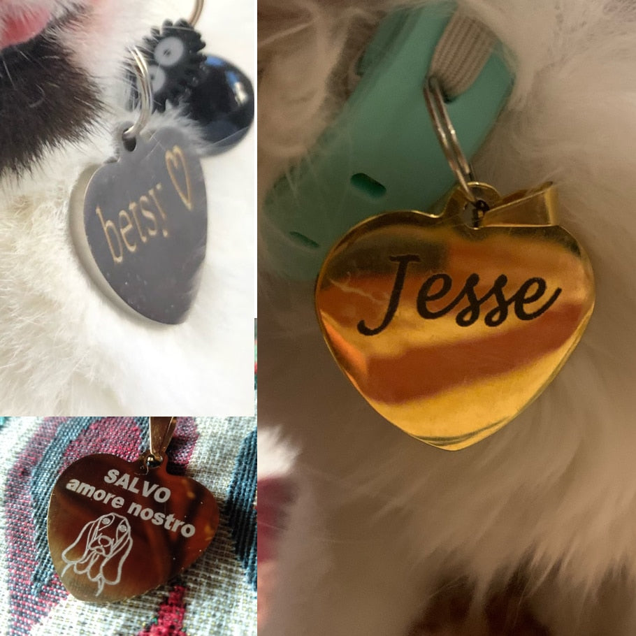 Pet ID Collar