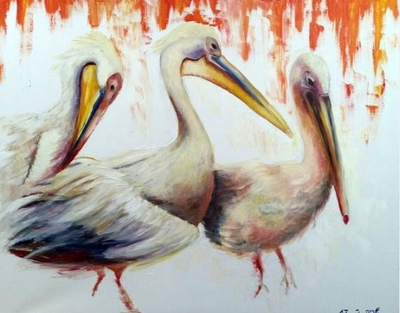 Pelicans